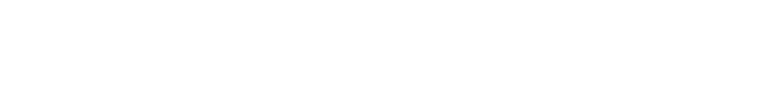 PRO AUTO